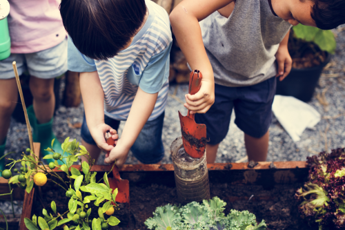 Fun Ways to Start a Spring Garden with Your Kids